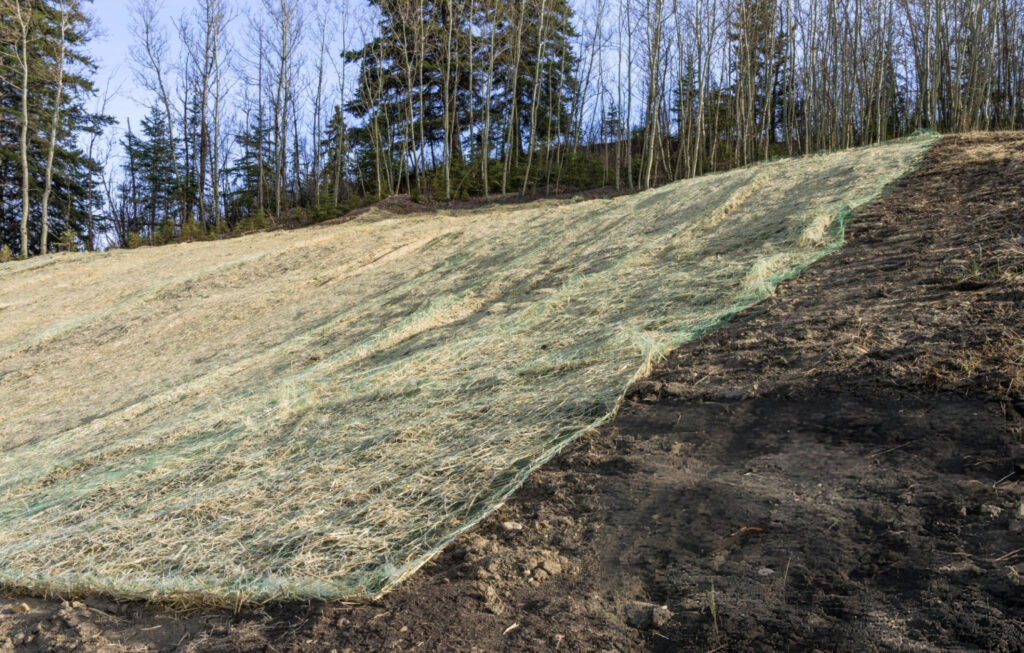 dl beatsnoop com NfPEzJr